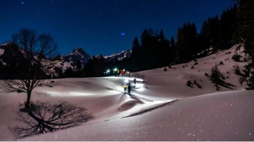 berg&fit - Snowshoe evening walk