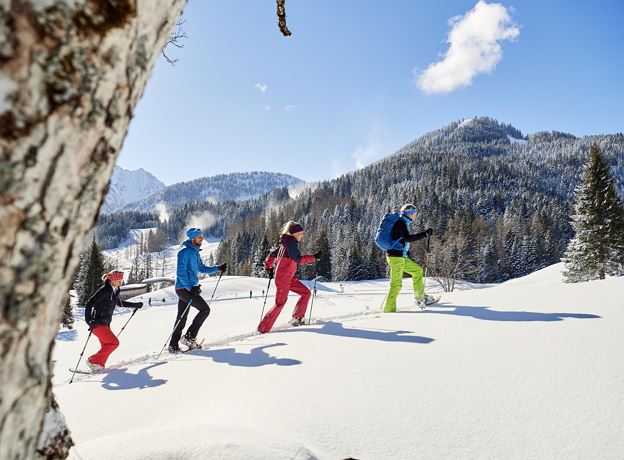 BergAKTIV - Schneeschuhwanderung - Vollmondtour