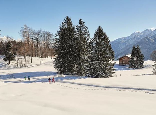 BergAKTIV - Schneeschuh-Schnuppertour in Bürserberg