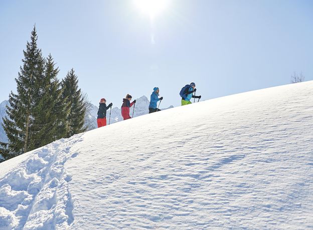 BergAKTIV - Geführte Schneeschuhwanderung Natur intensiv