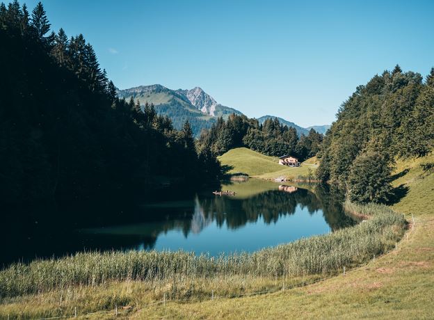 Frühschoppen- bei See & Me