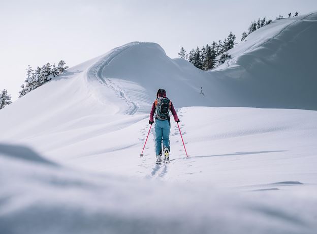 Guided ski tour