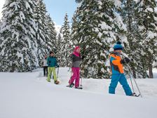 BERGaktiv Guided Snowshoe Hike Tiefenwald