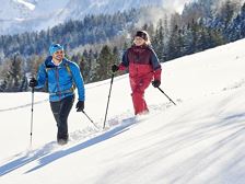 BergAKTIV - snow shoe hike to Furkla Alpe - full day