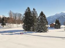 BergAKTIV - Guided Snowshoe Taster Tour in Bürserberg