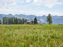 Alpe Rona am Hochplateau Tschengla (c) Alex Kaiser