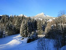 Aussicht vom Balkon