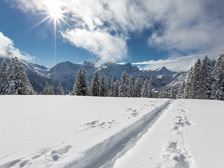 Winterlandschaft im Brandnertal (c) Michael Marte 