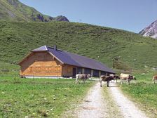 Ab Hof Verkauf - Alpe Palüd