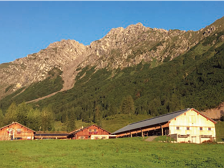 From the farm - Alp Parpfienz