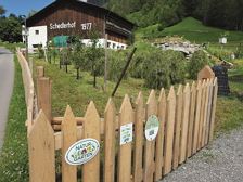 Ab Hof Verkauf - Schedlerhof