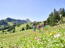 Natursprünge-Weg