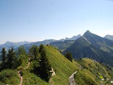 Flower-hiking-trail