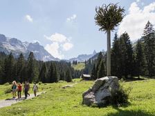 Gauertaler AlpculTour