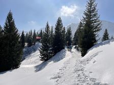 Verleih von Schneeschuhen movimento Bergsport