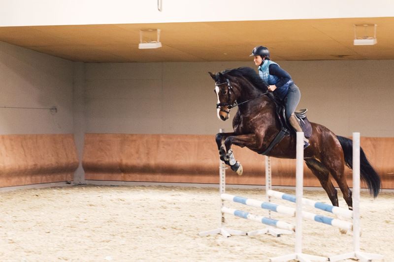 Das Leben ist ein Ponyhof