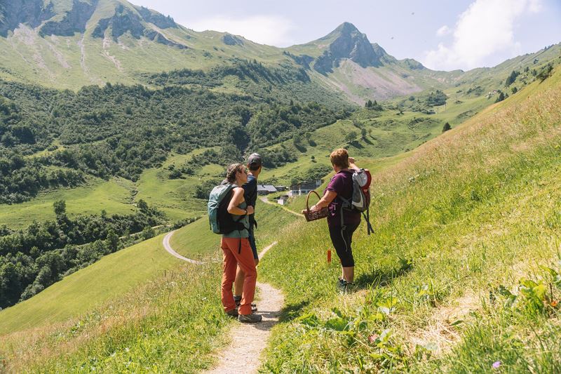 Kräuterwanderung Faschina