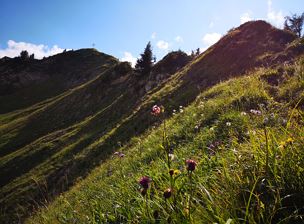 Gerenspitze, 1.871 m | St. Gerold