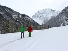 Schattenlagant toboggan run | Brand