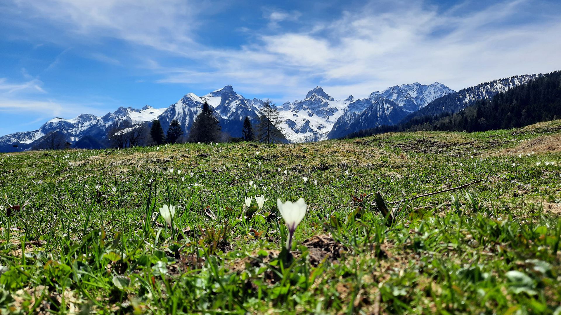 FR_Tschengla_Brandnertal.jpg