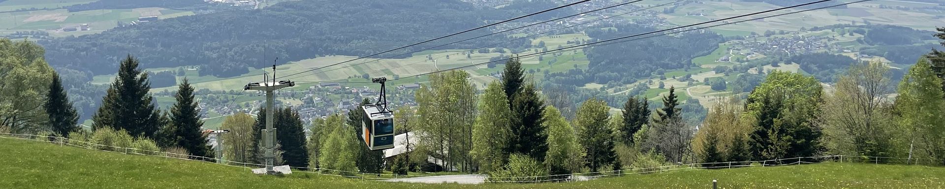 schnifis-sommer-schnifnerbähnle