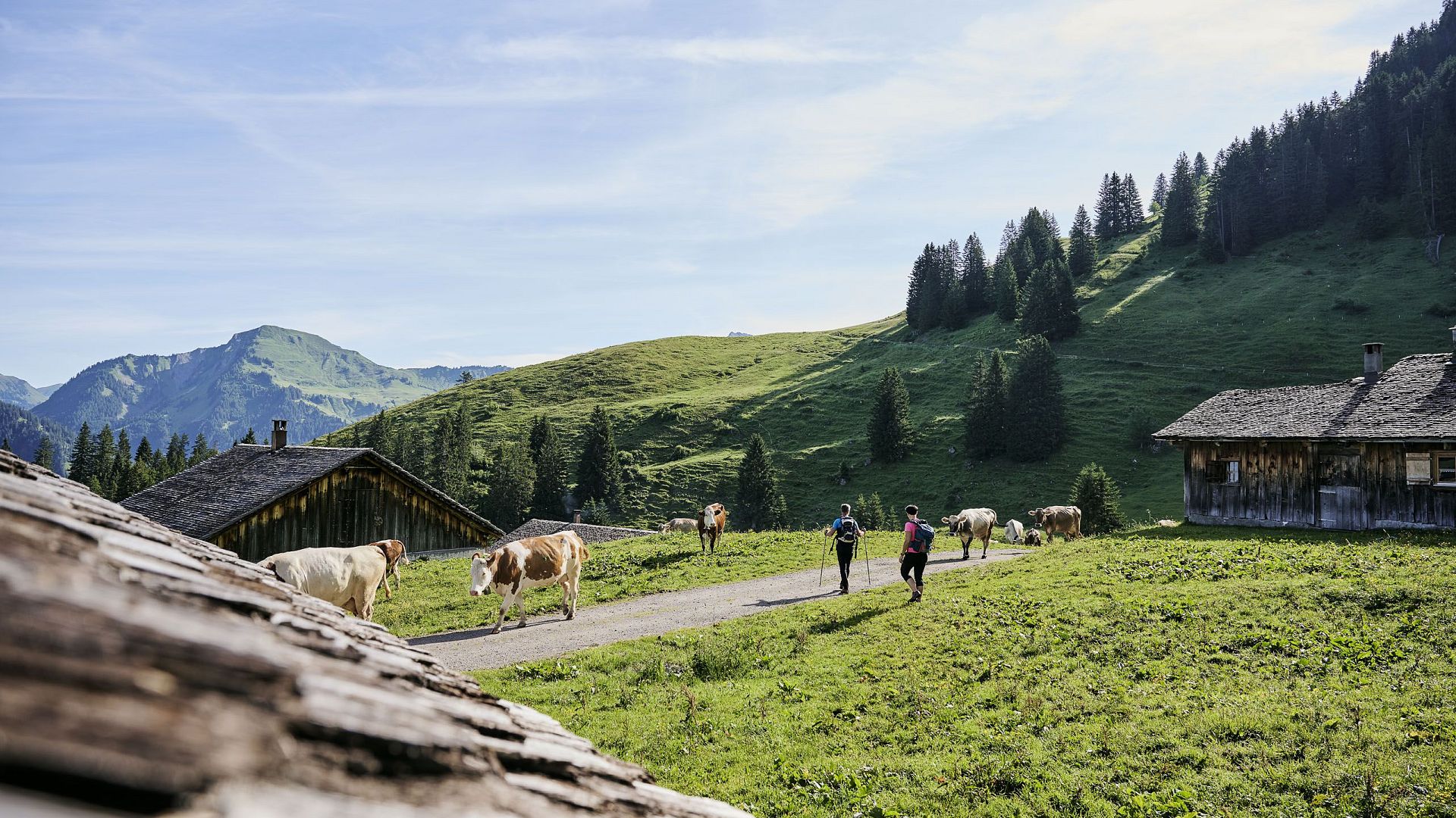 walsertal-sommer-wandern-alpesteris