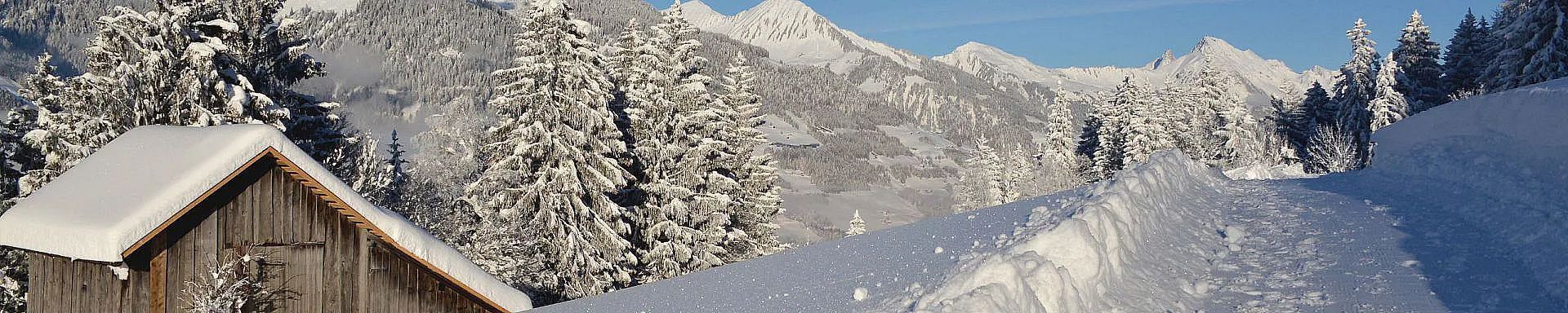 walsertal-winter-ludescherberg