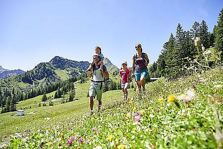 brandnertal-wandern-herbst-frühling-wiese