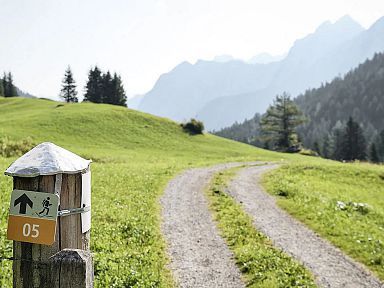 Geführte Wanderungen im Brandnertal