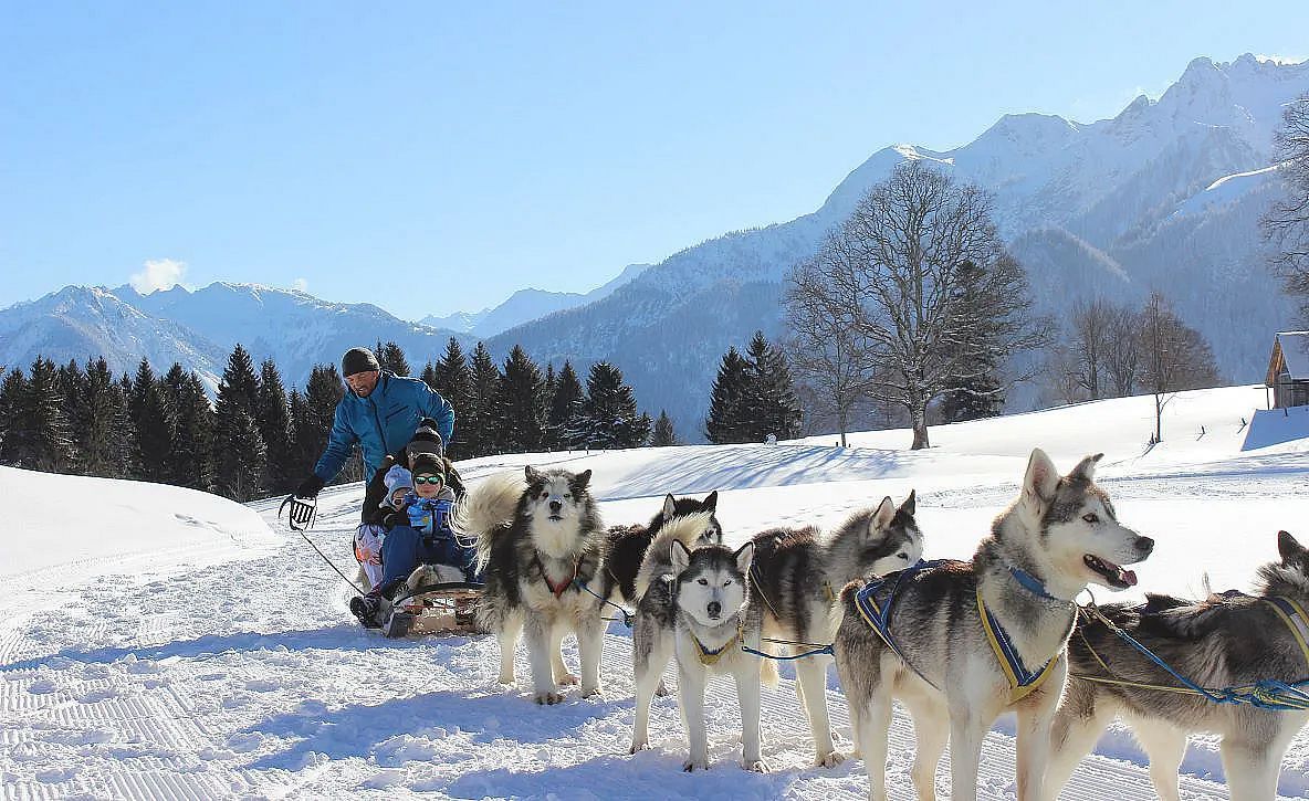 Husky Toni and His Huskies