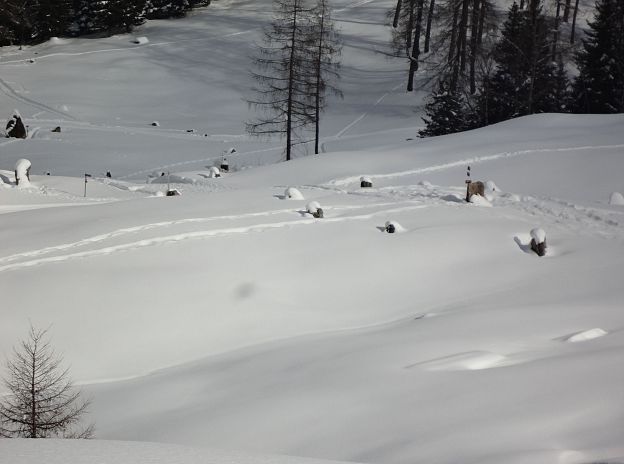 Steinkreise auf dem Hochplateau Tschengla