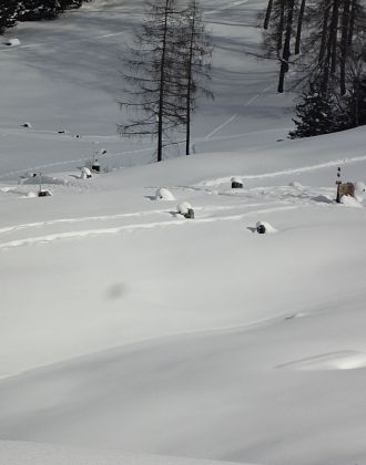 Stone Circles on the Tschengla High Plateau