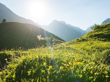 Sommerwelt entdecken