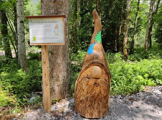 Wichtel-Erlebnisweg Wald am Arlberg