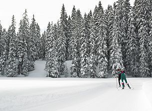 Loipenbericht