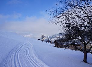 Cross-country Ski Trail Report