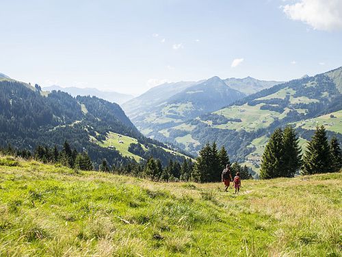 Trekking in the Biosphere Park Großes Walsertal