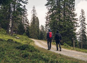 Rain Hikes