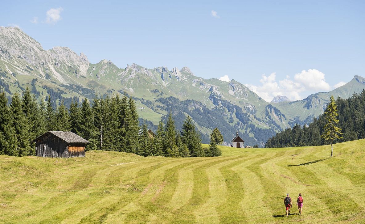 Bergsteigerdorf Partner Accommodations in Großes Walsertal