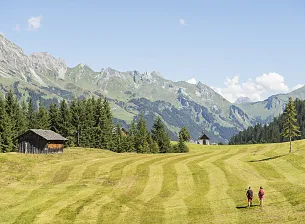 Bergsteigerdorf Partner Accommodations in Großes Walsertal