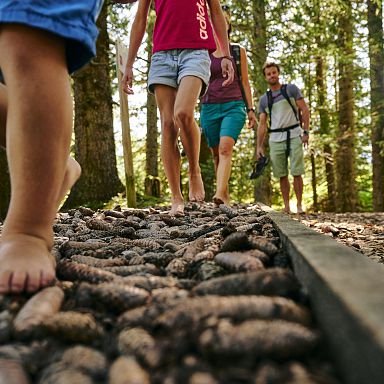 brandnertal-summer-barefoot-trail