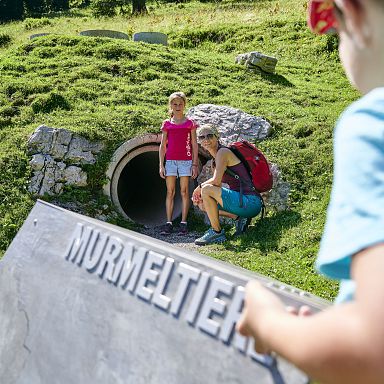 brandnertal-sommer-tierwelten-weg