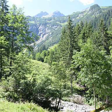 walsertal-sommer-geführtewanderung-gadental